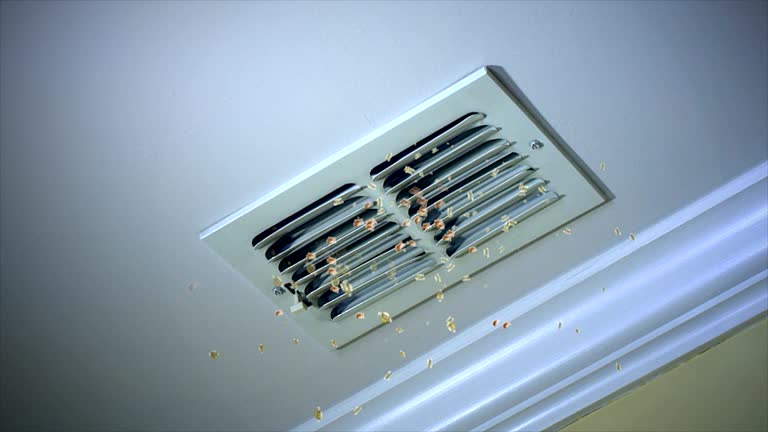 Best Commercial HVAC Duct Cleaning  in Grayling, MI