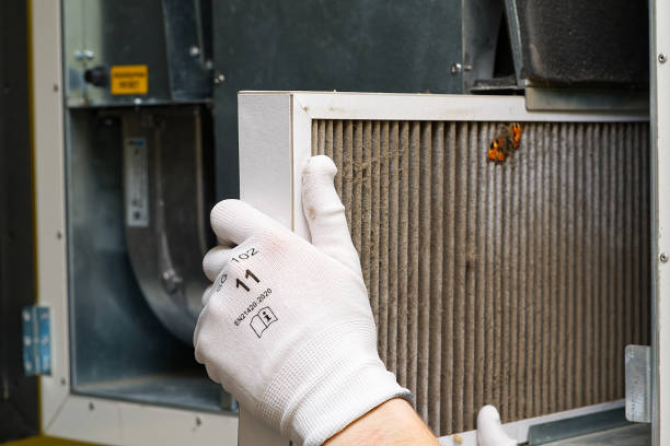 Best Affordable Air Duct Cleaning  in Grayling, MI