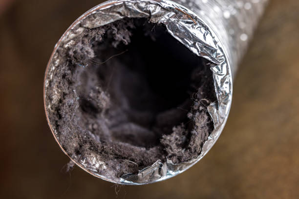 Best Ventilation Cleaning Services  in Grayling, MI