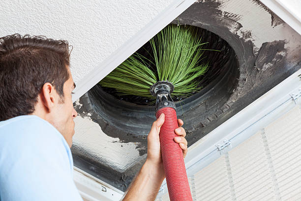 Best Air Duct Mold Removal  in Grayling, MI